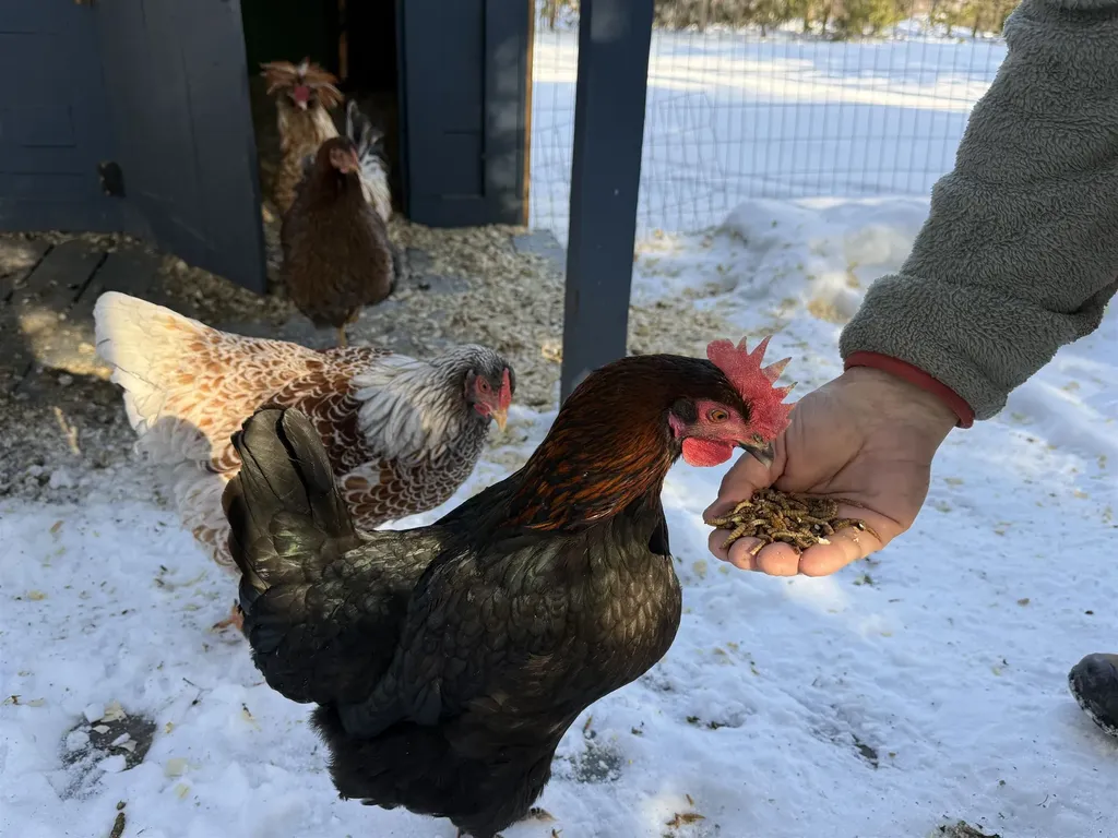 180 Grove Street Rutland City VT 05701