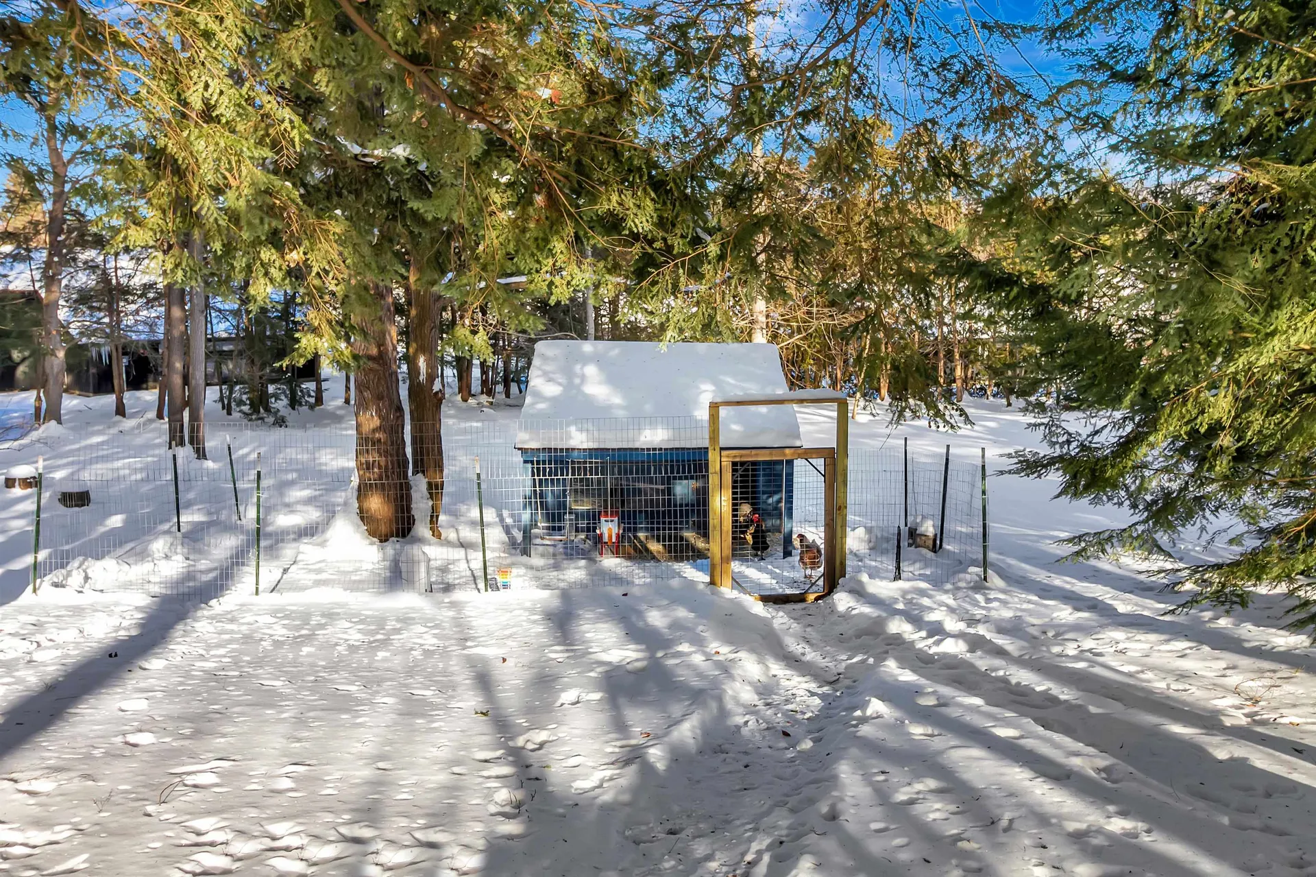 180 Grove Street Rutland City VT 05701