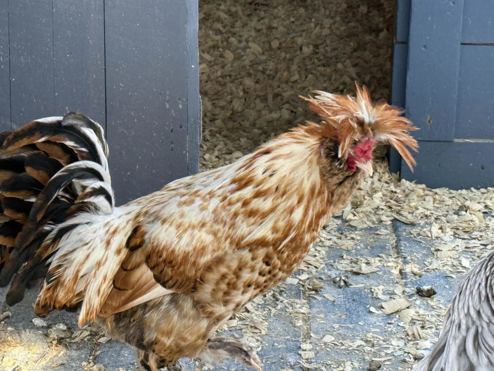 180 Grove Street Rutland City VT 05701