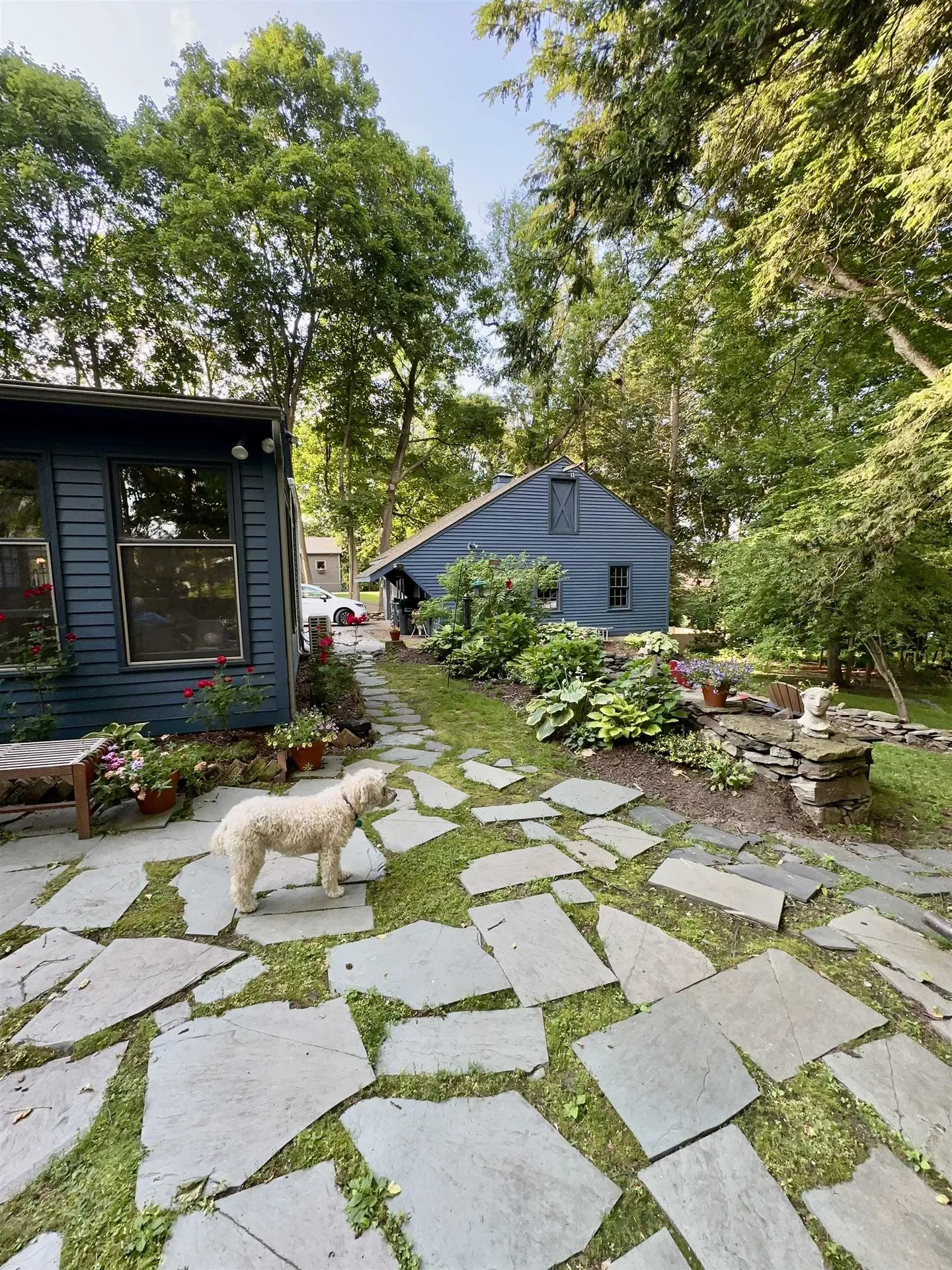 180 Grove Street Rutland City VT 05701