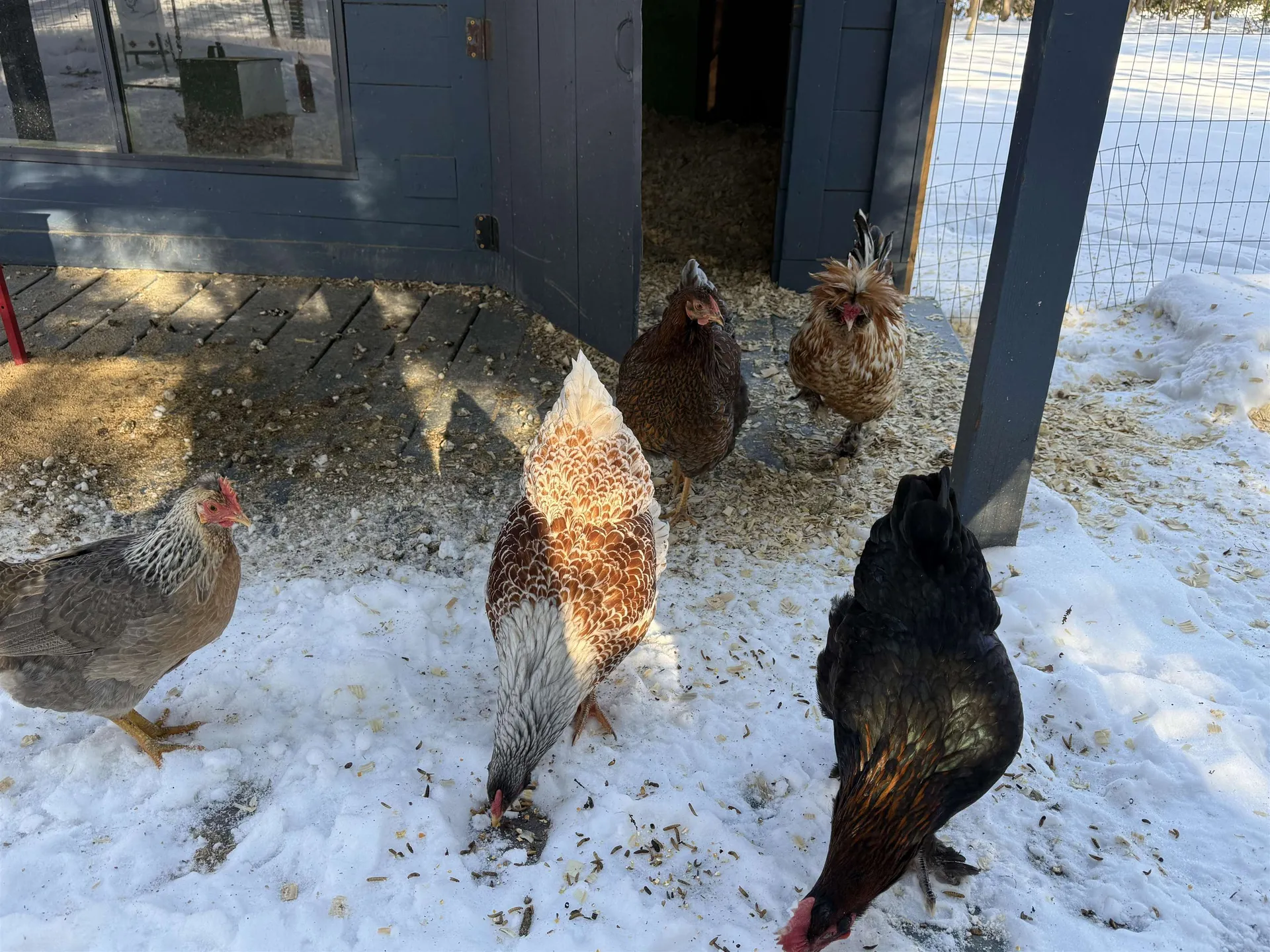 180 Grove Street Rutland City VT 05701