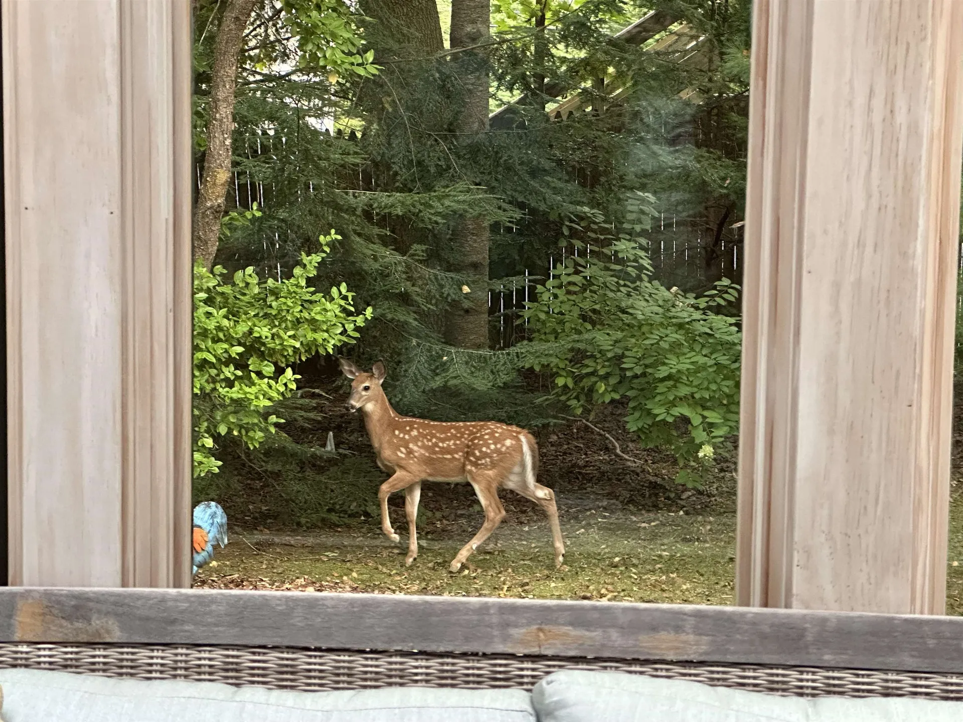 180 Grove Street Rutland City VT 05701