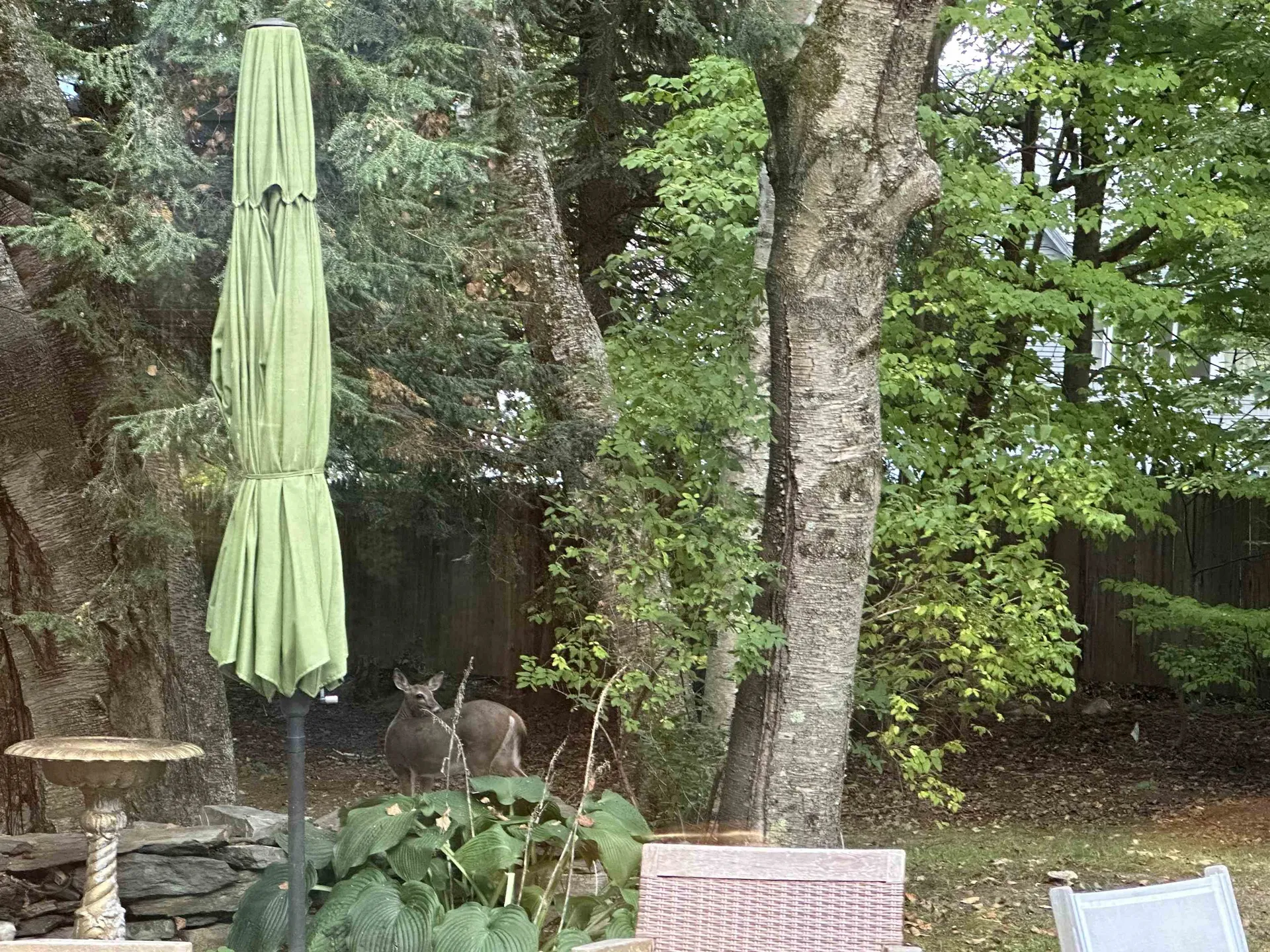 180 Grove Street Rutland City VT 05701