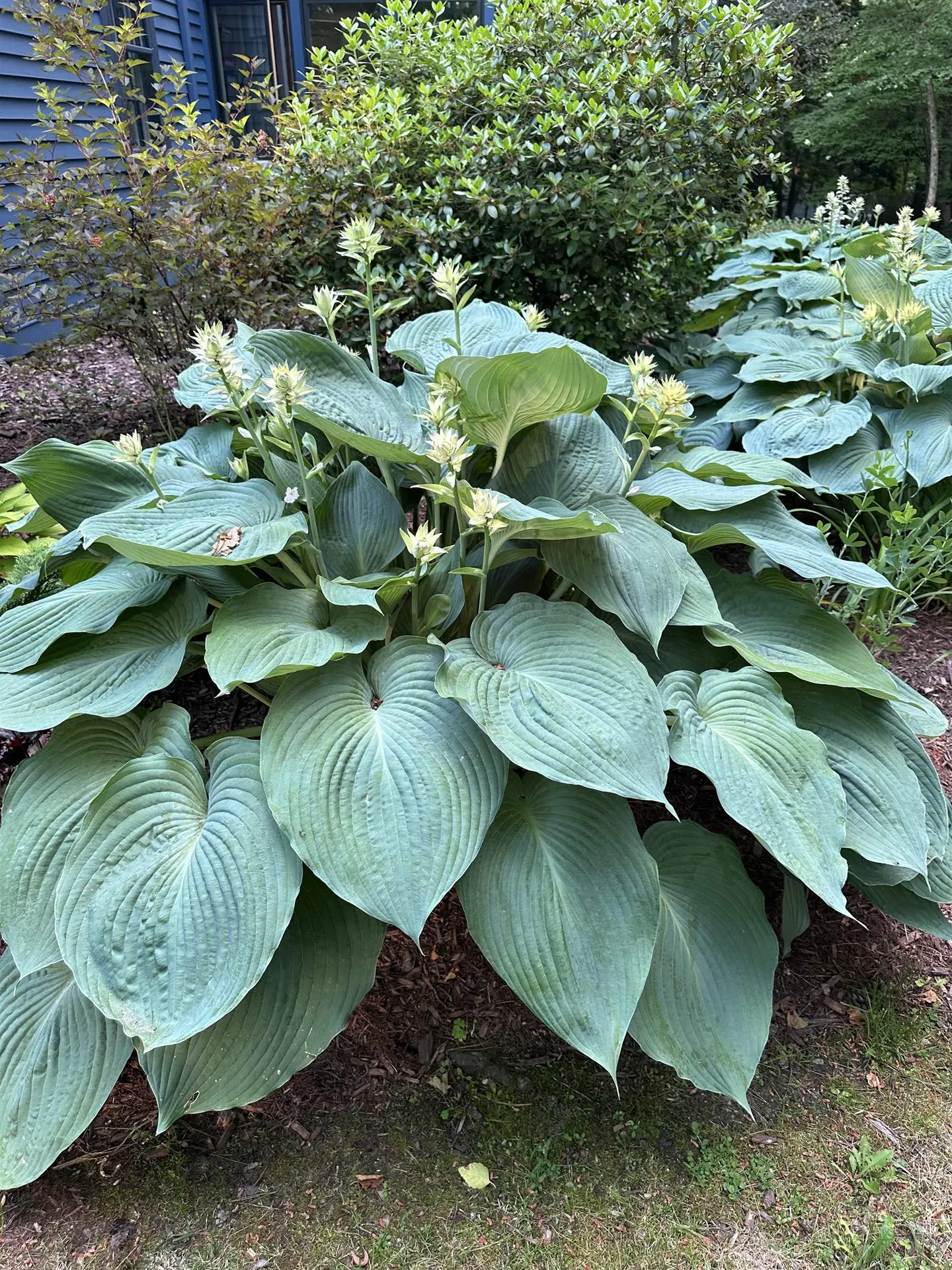 180 Grove Street Rutland City VT 05701