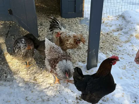 180 Grove Street Rutland City VT 05701