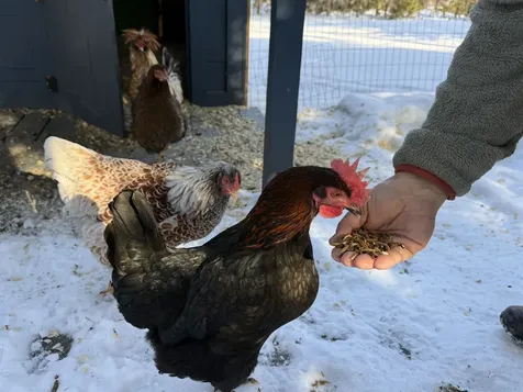 180 Grove Street Rutland City VT 05701