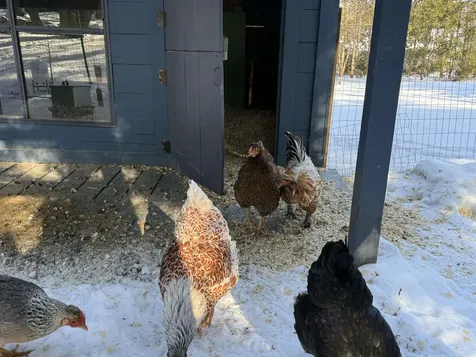 180 Grove Street Rutland City VT 05701