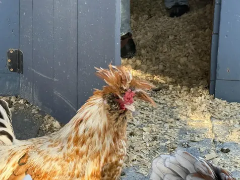 180 Grove Street Rutland City VT 05701