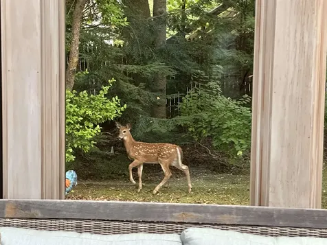 180 Grove Street Rutland City VT 05701