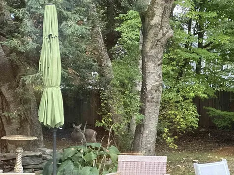 180 Grove Street Rutland City VT 05701