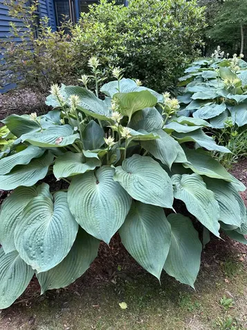 180 Grove Street Rutland City VT 05701