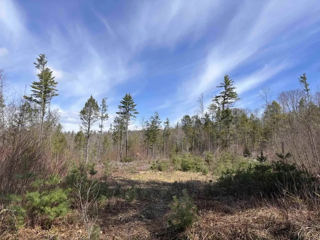 M409 L66-2 Old Turnpike Road Richmond NH 03470