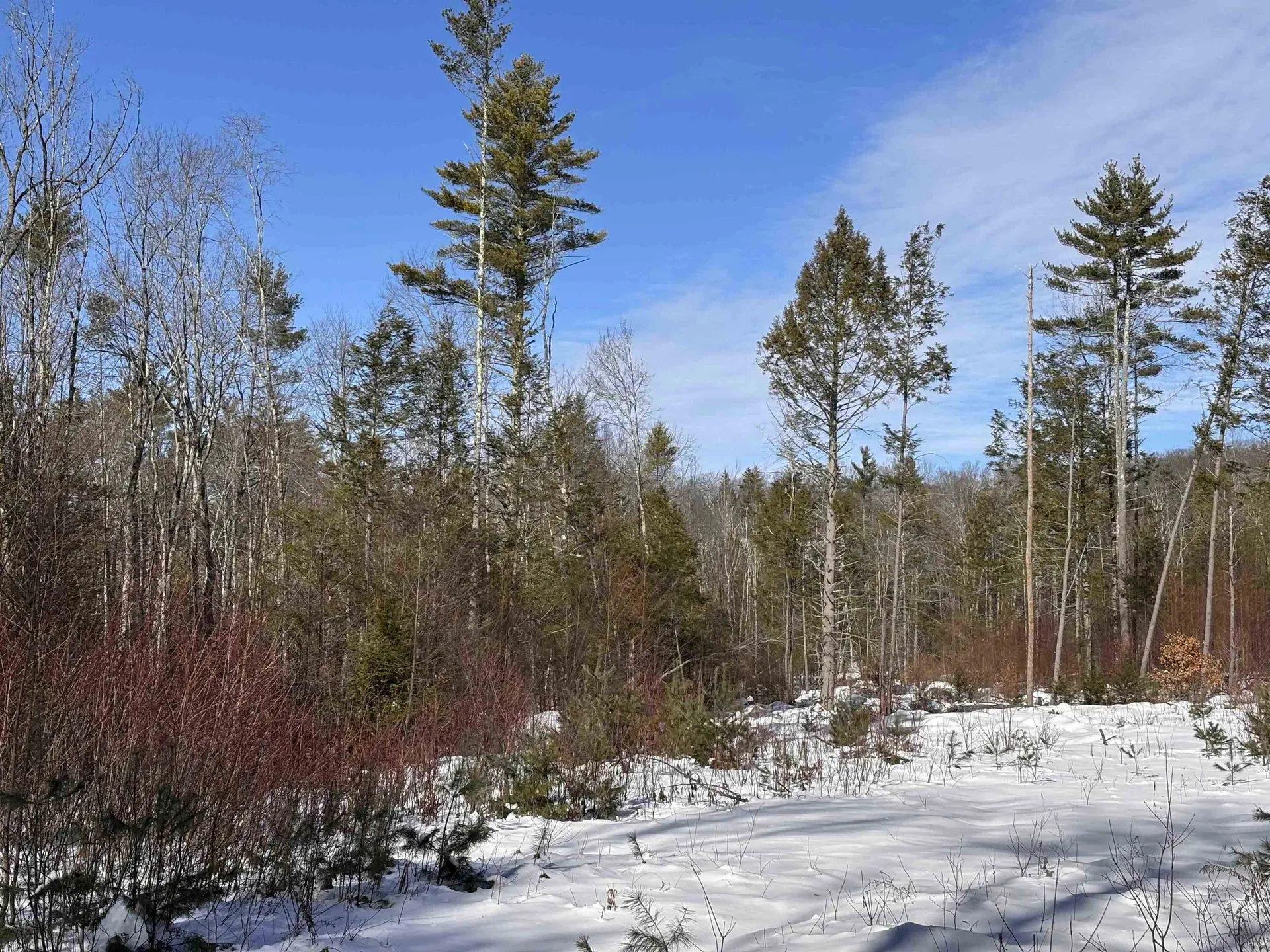 M409 L66-2 Old Turnpike Road Richmond NH 03470