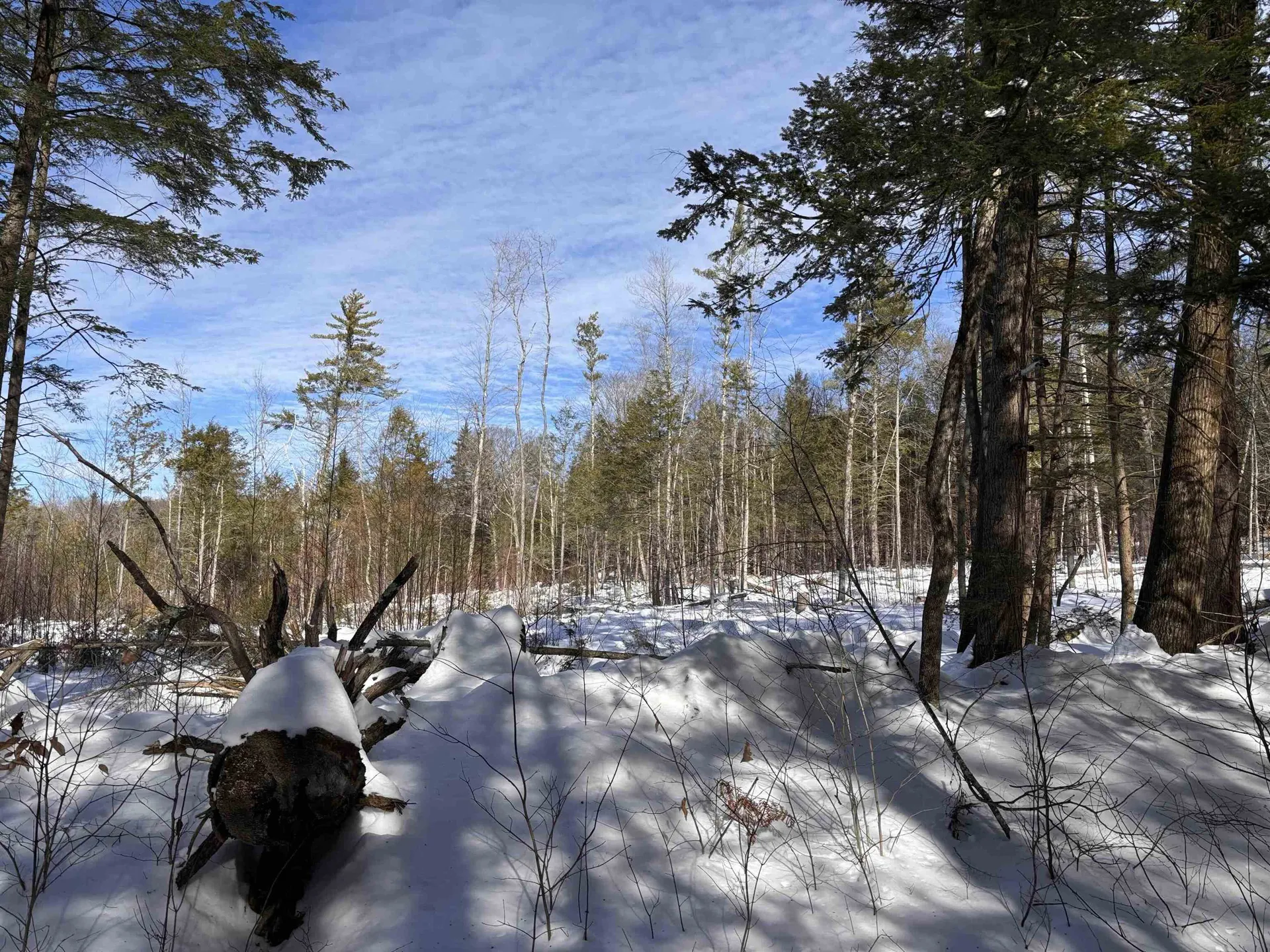 M409 L66-2 Old Turnpike Road Richmond NH 03470