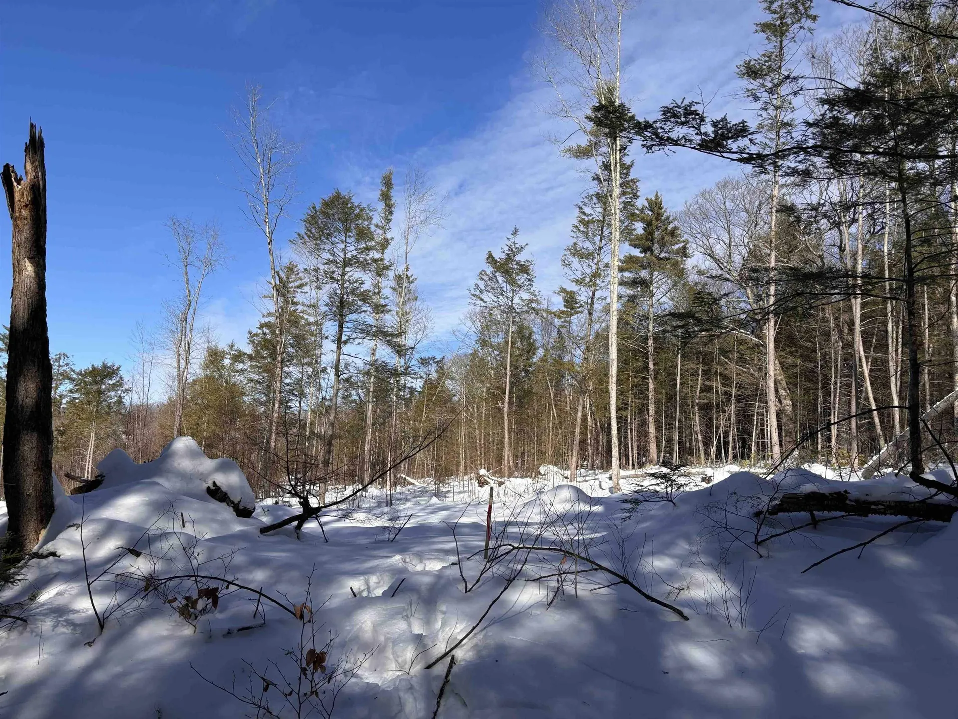 M409 L66-2 Old Turnpike Road Richmond NH 03470