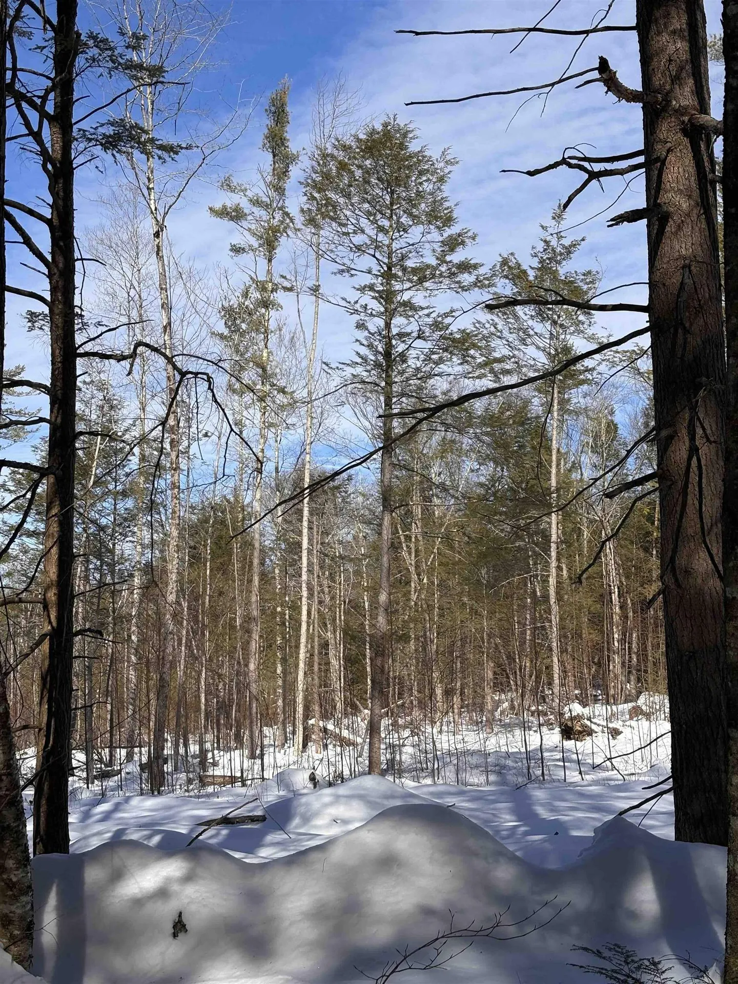 M409 L66-2 Old Turnpike Road Richmond NH 03470