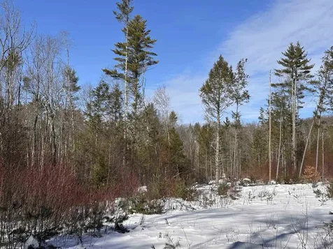 M409 L66-2 Old Turnpike Road Richmond NH 03470