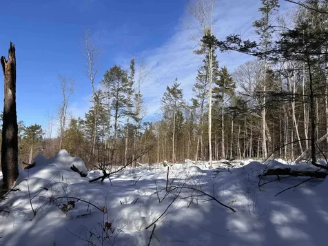 M409 L66-2 Old Turnpike Road Richmond NH 03470