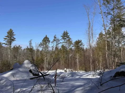 M409 L66-2 Old Turnpike Road Richmond NH 03470