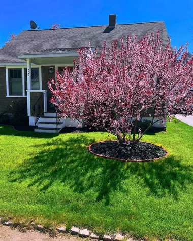 38 Armand Avenue Manchester NH 03103