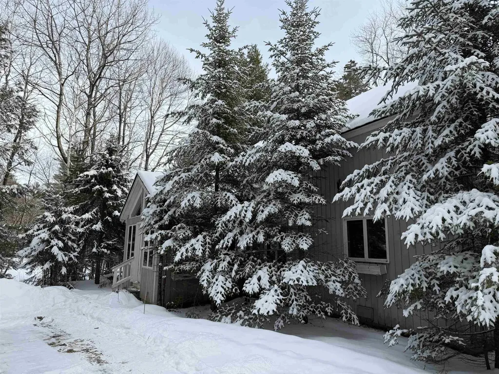 65 Cranberry Hill Road Winhall VT 05340