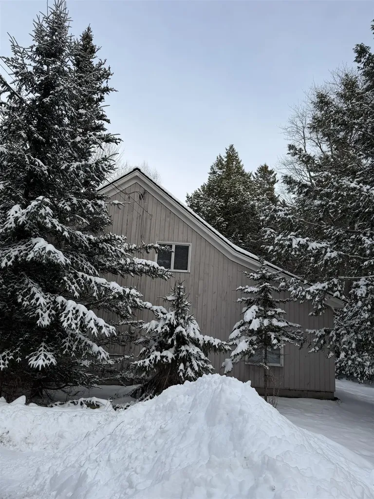 65 Cranberry Hill Road Winhall VT 05340