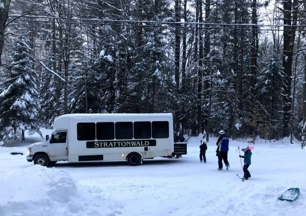 65 Cranberry Hill Road Winhall VT 05340