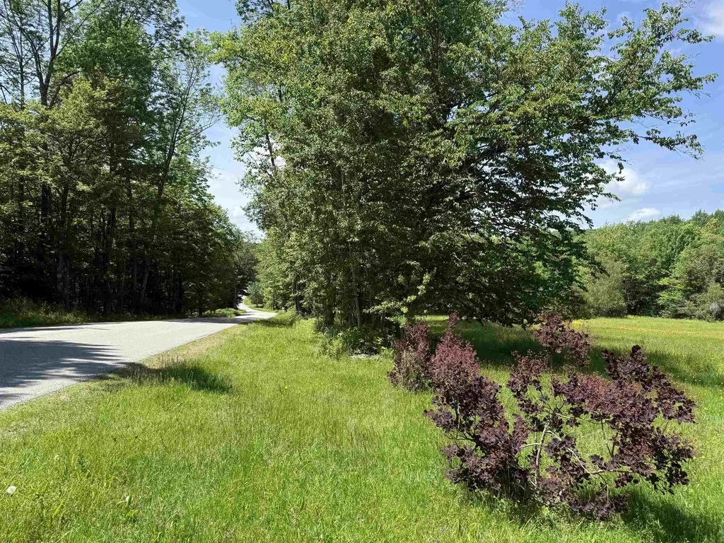 1033 Burrington Hill Road Whitingham VT 05361