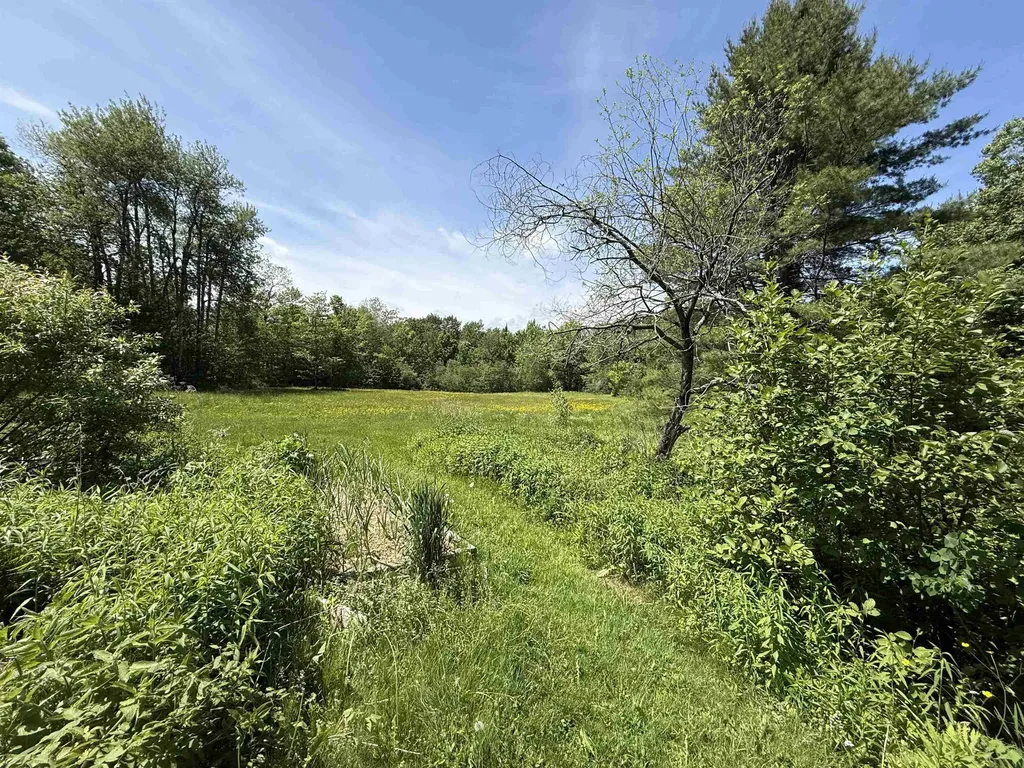 1033 Burrington Hill Road Whitingham VT 05361