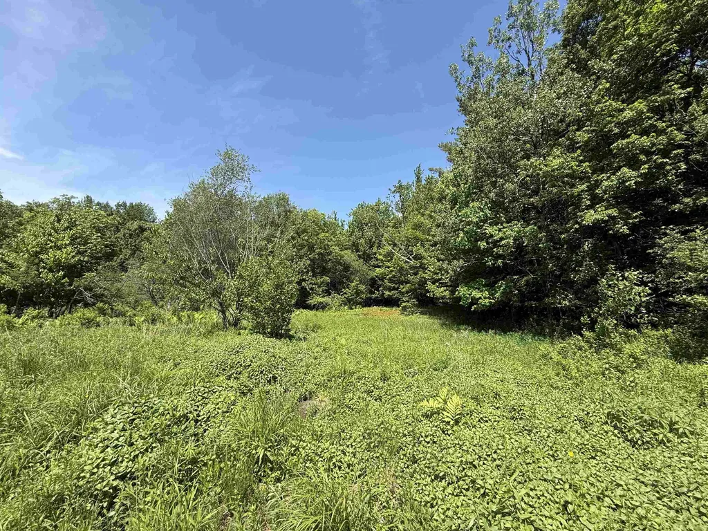 1033 Burrington Hill Road Whitingham VT 05361