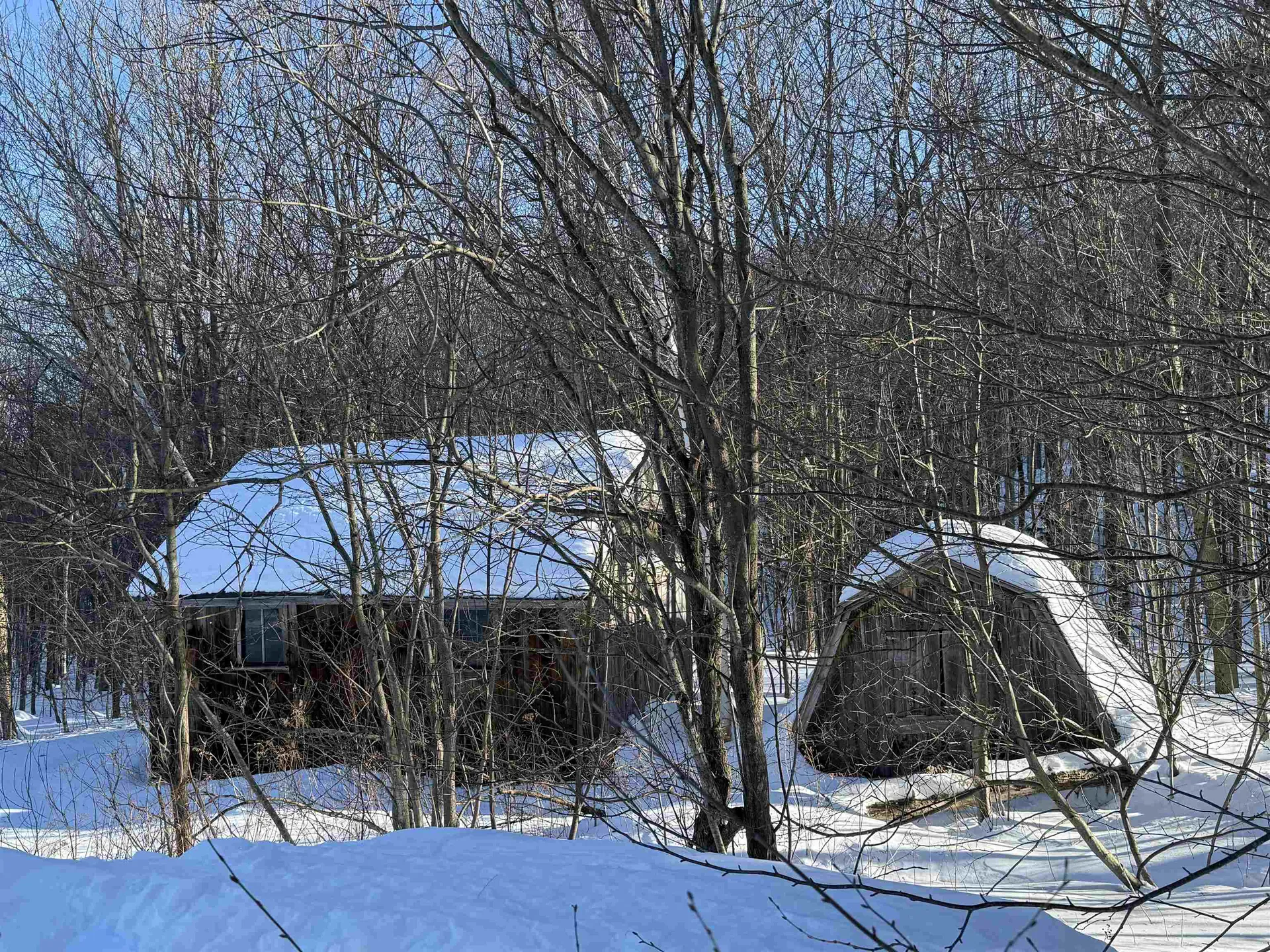 1033 Burrington Hill Road Whitingham VT 05361