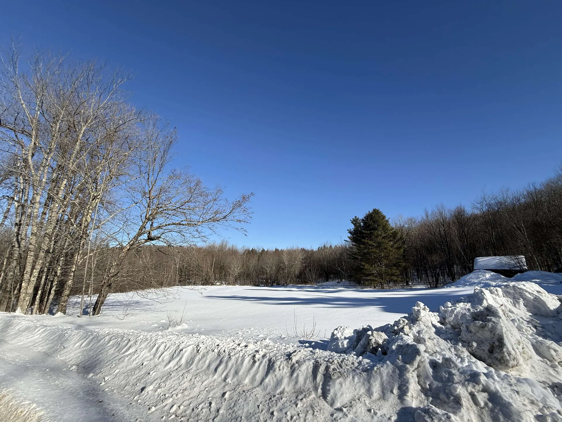 1033 Burrington Hill Road Whitingham VT 05361