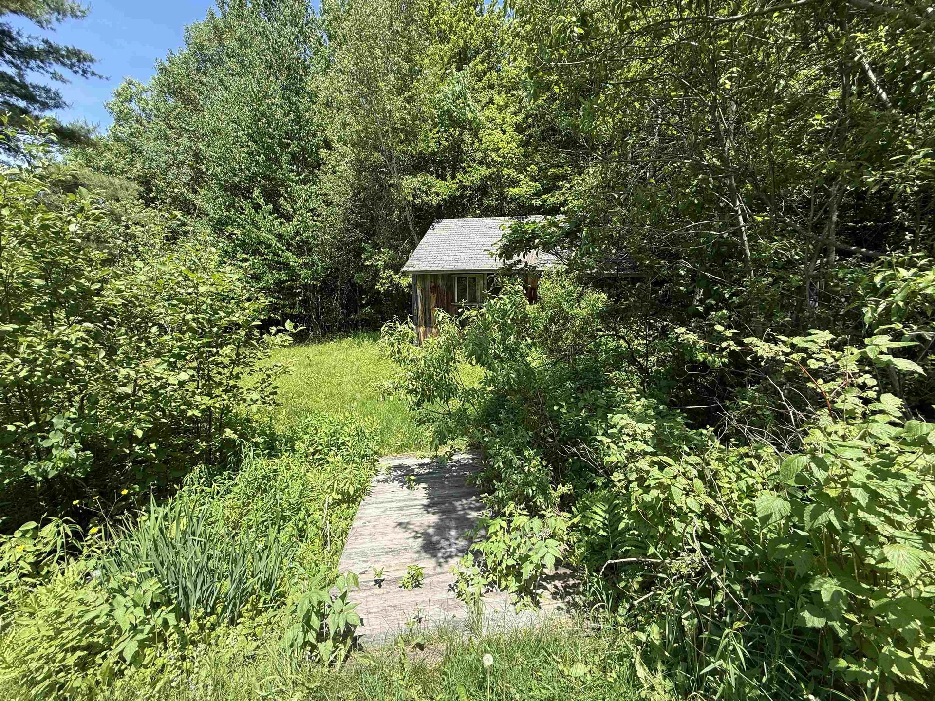 1033 Burrington Hill Road Whitingham VT 05361