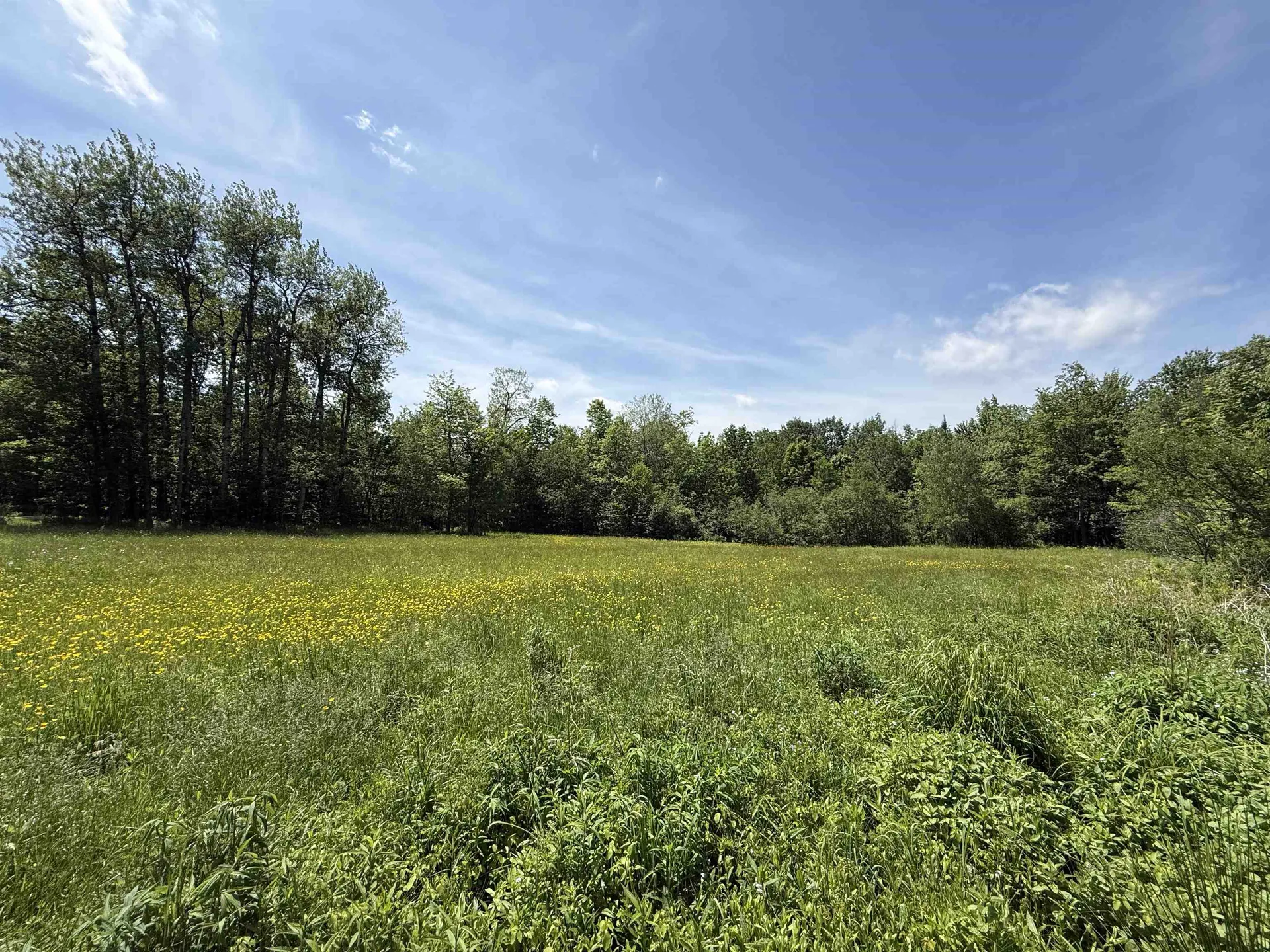 1033 Burrington Hill Road Whitingham VT 05361