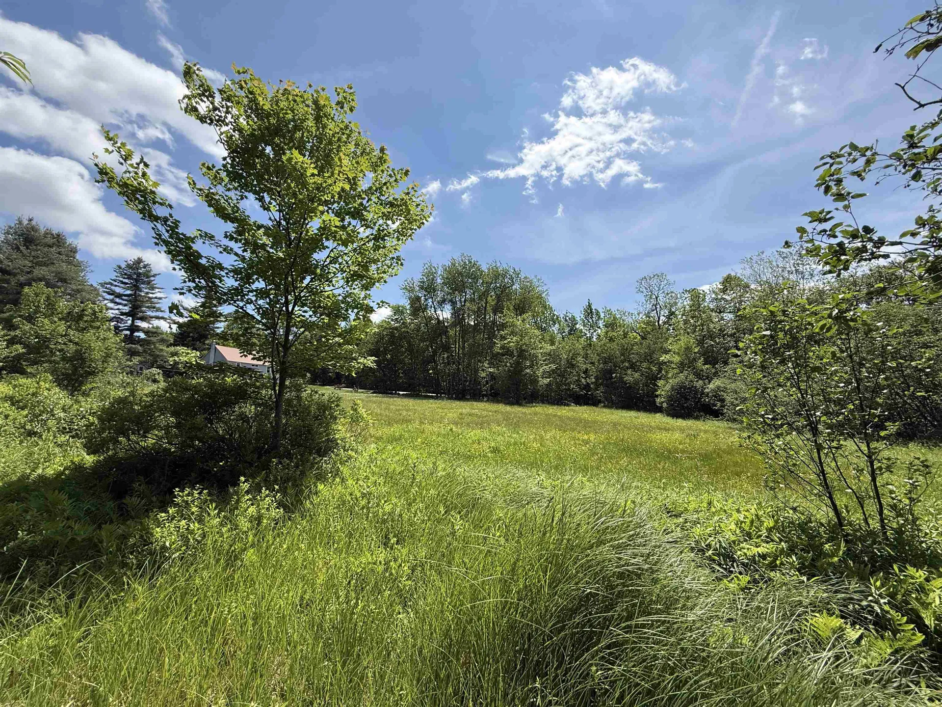 1033 Burrington Hill Road Whitingham VT 05361