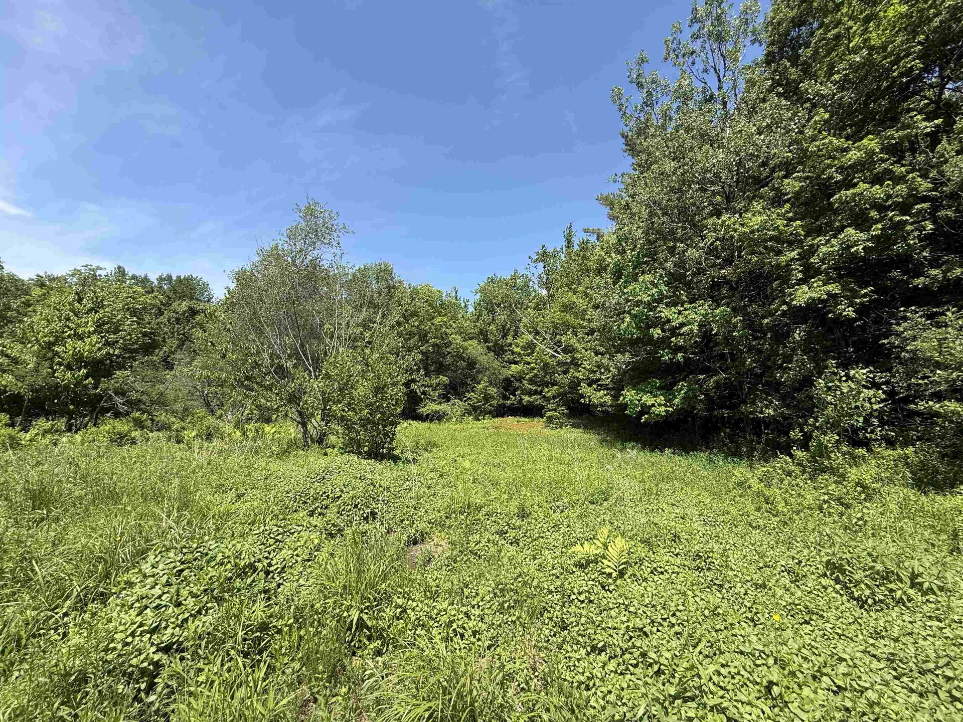 1033 Burrington Hill Road Whitingham VT 05361
