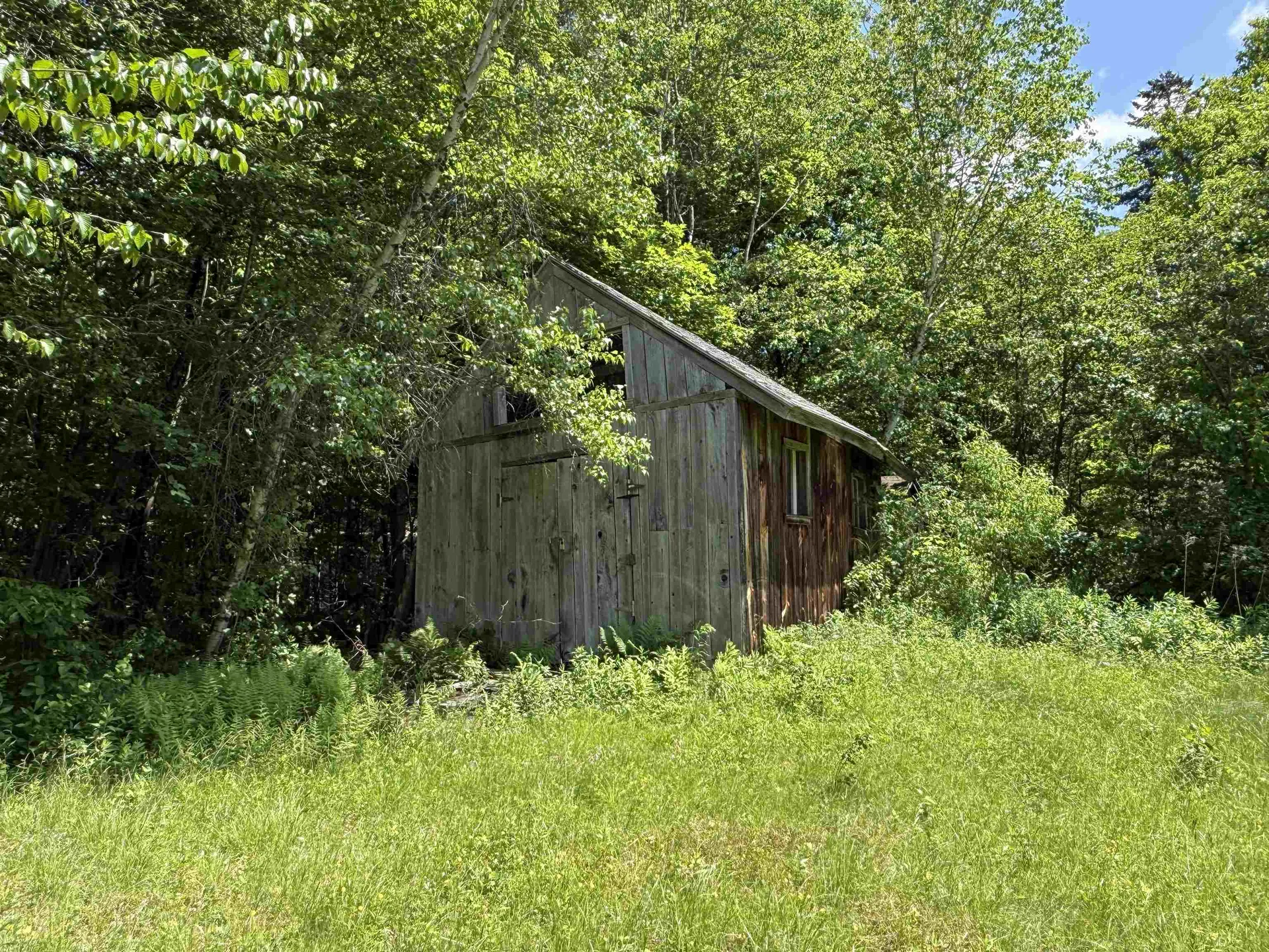 1033 Burrington Hill Road Whitingham VT 05361