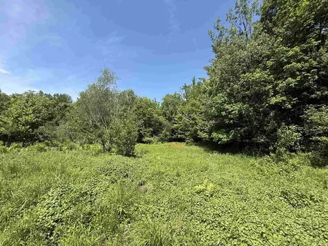 1033 Burrington Hill Road Whitingham VT 05361