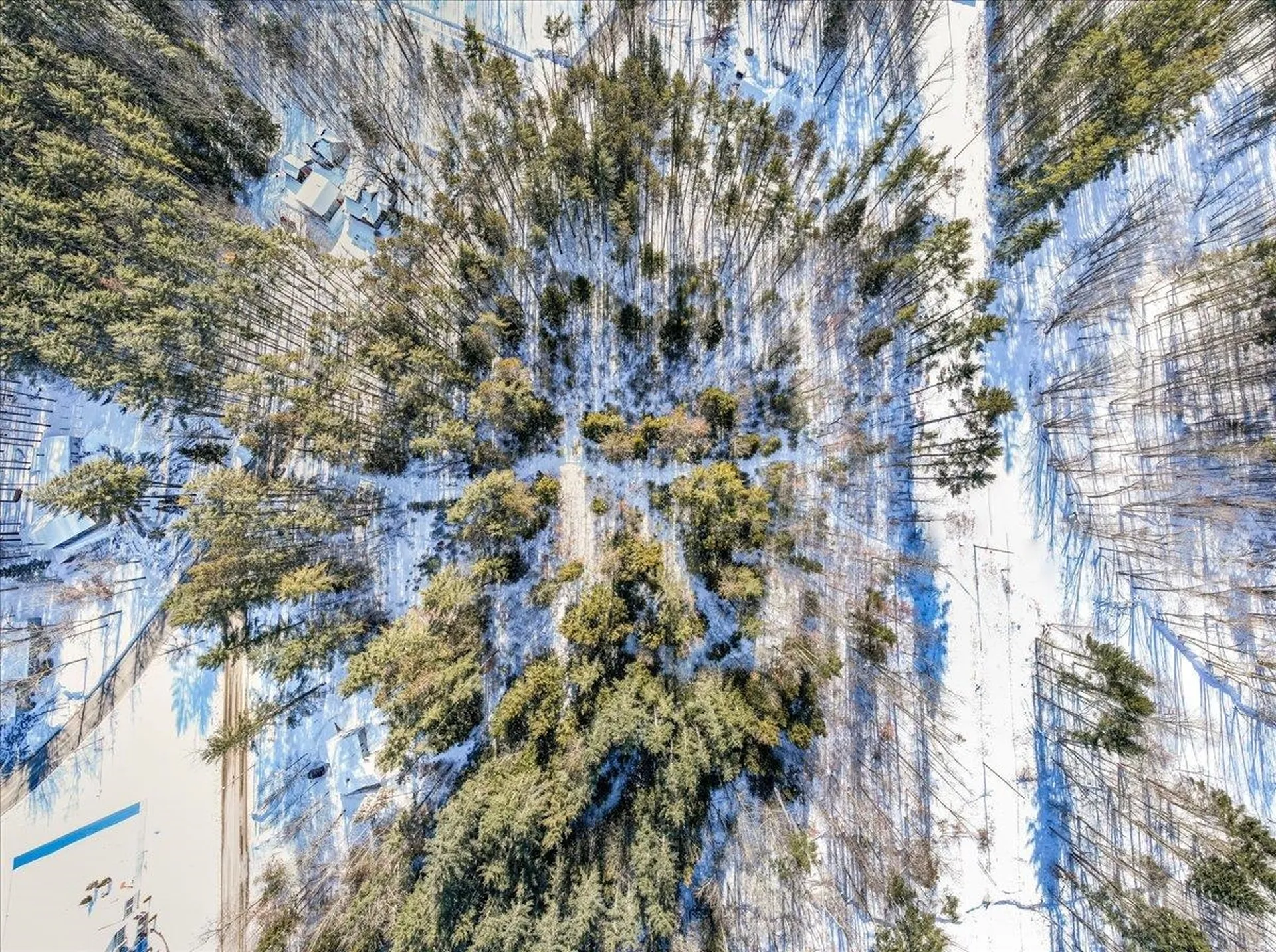 Map 03 Lot 89 Route 127 Warner NH 03278