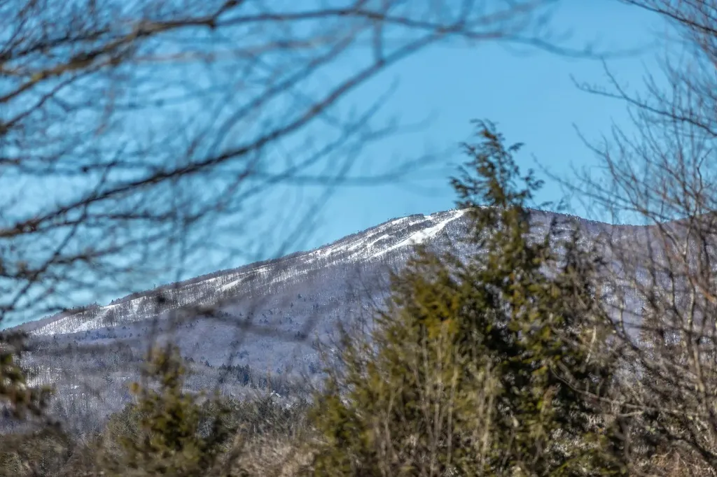 373 Vermont Route 11 Londonderry VT 05148