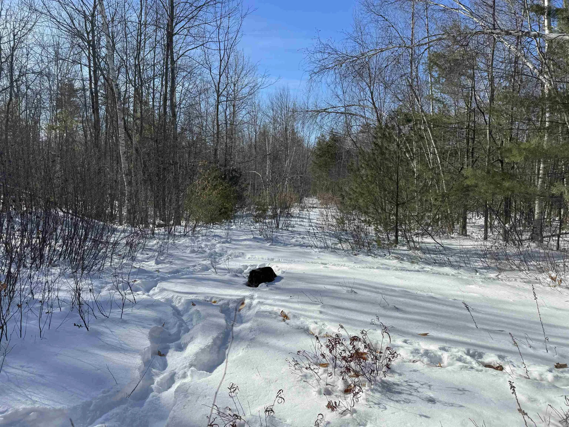 0 White Mountain Highway Wakefield NH 03872