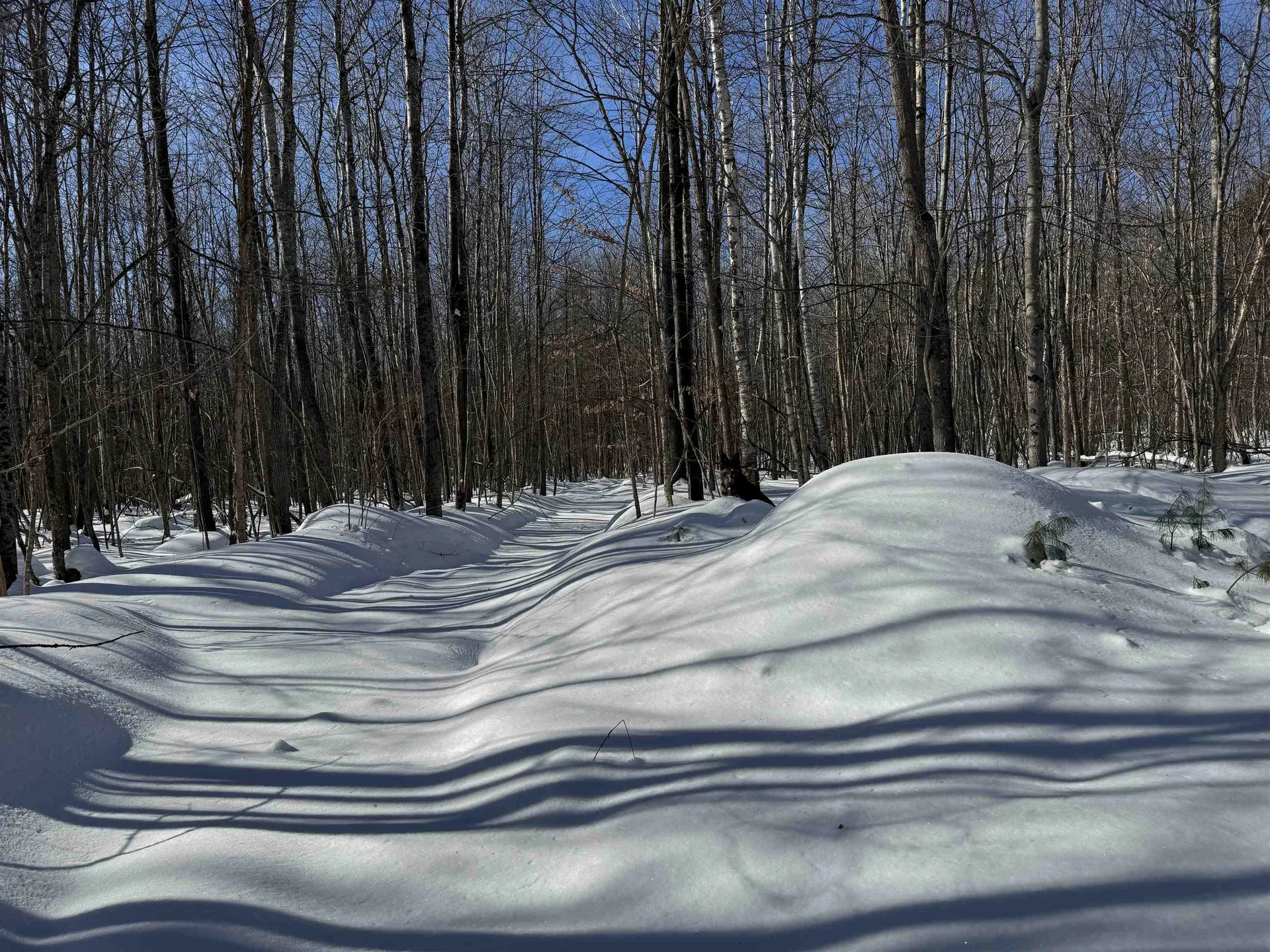 0 White Mountain Highway Wakefield NH 03872