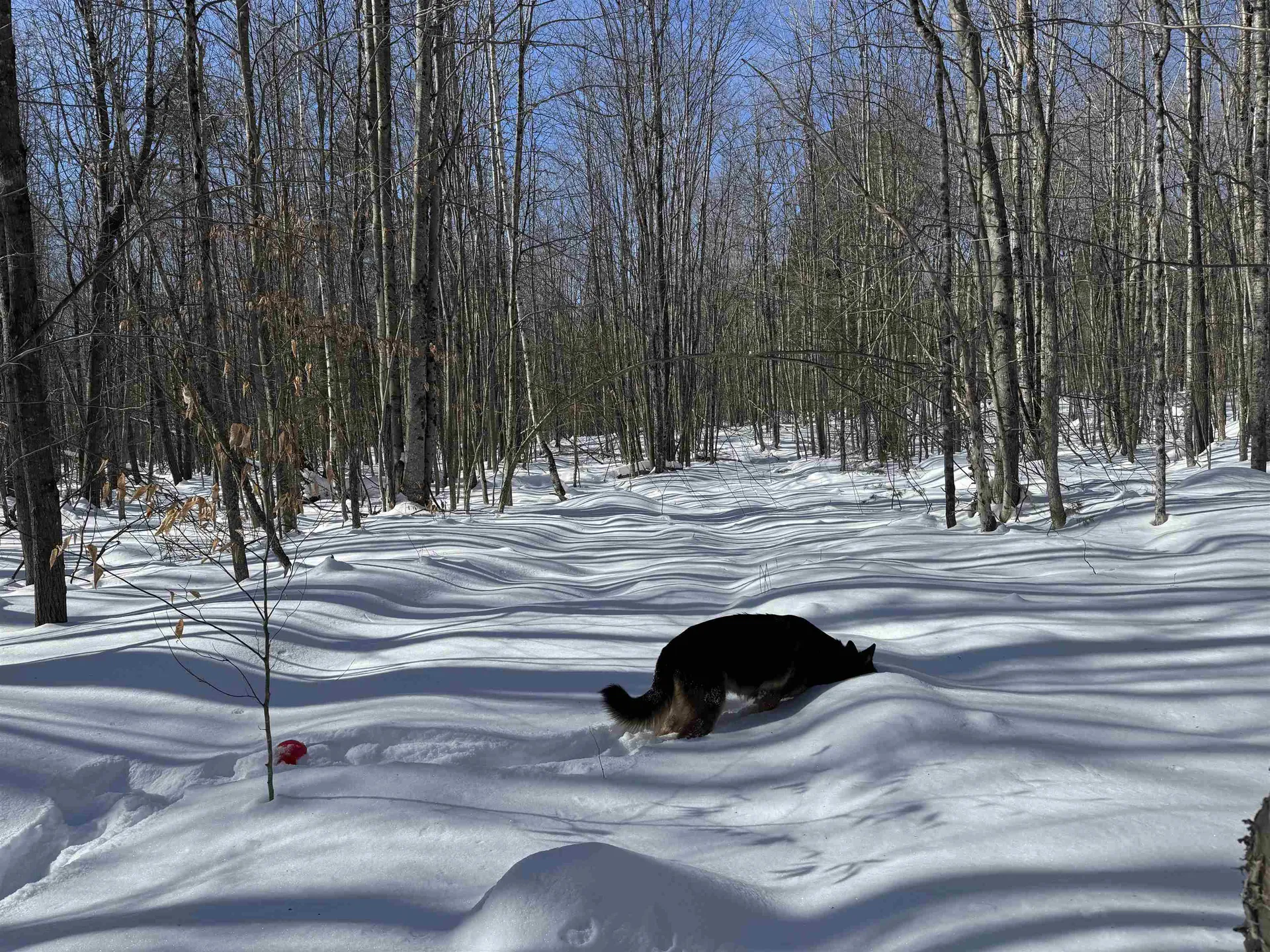 0 White Mountain Highway Wakefield NH 03872