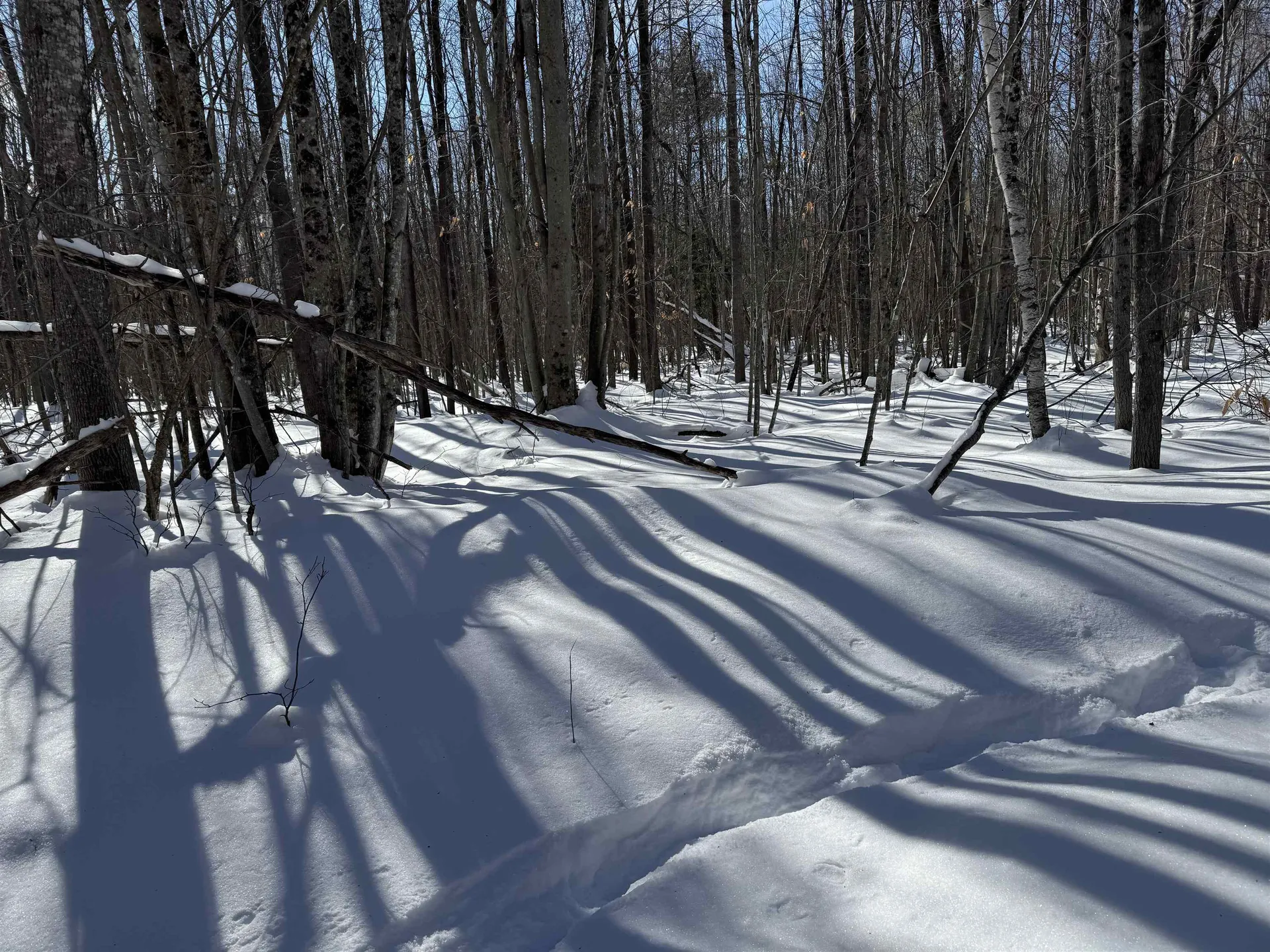 0 White Mountain Highway Wakefield NH 03872