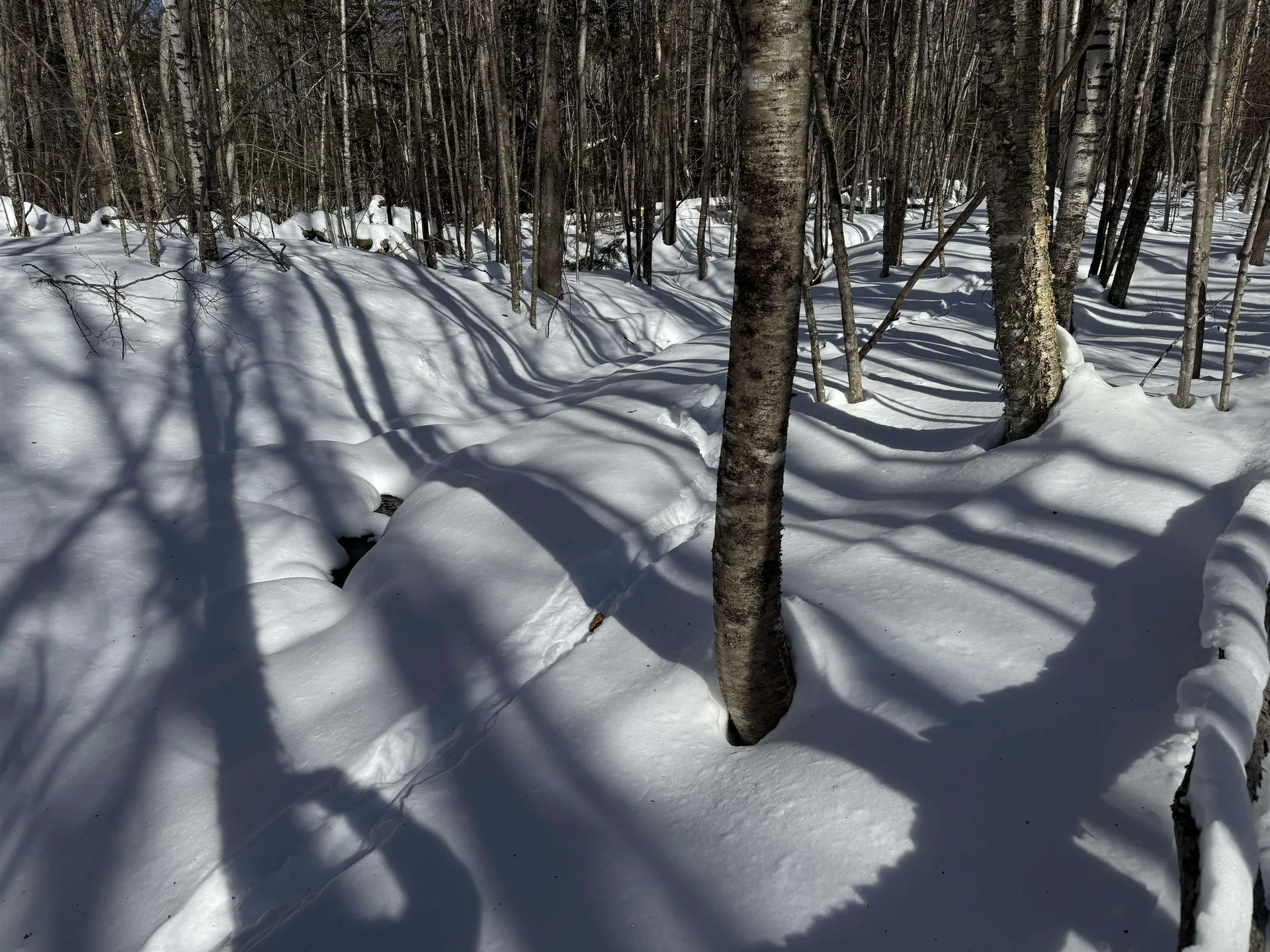 0 White Mountain Highway Wakefield NH 03872