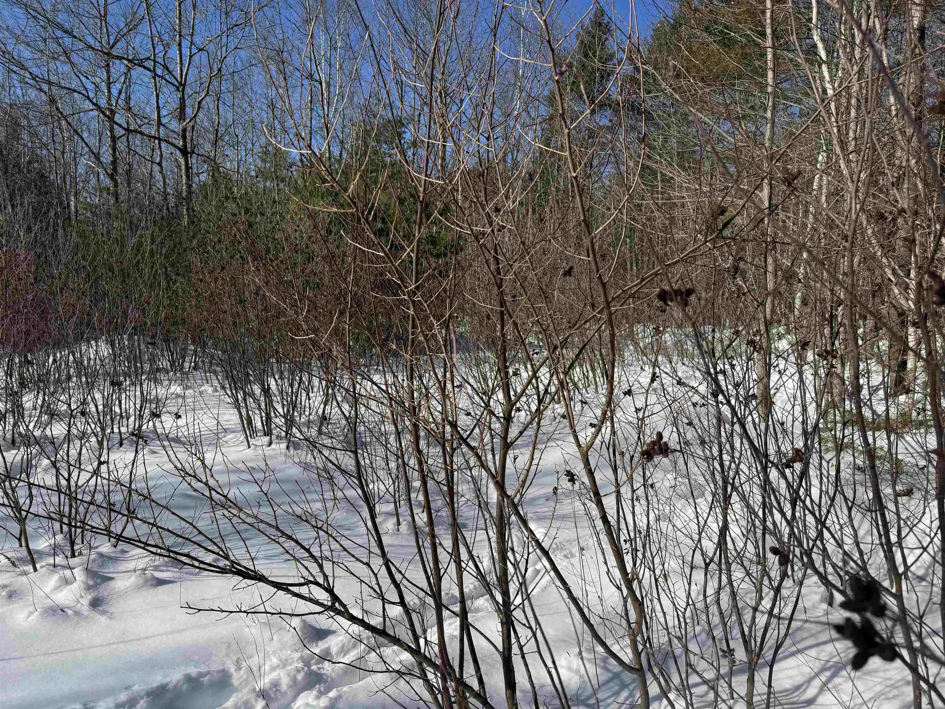 0 White Mountain Highway Wakefield NH 03872