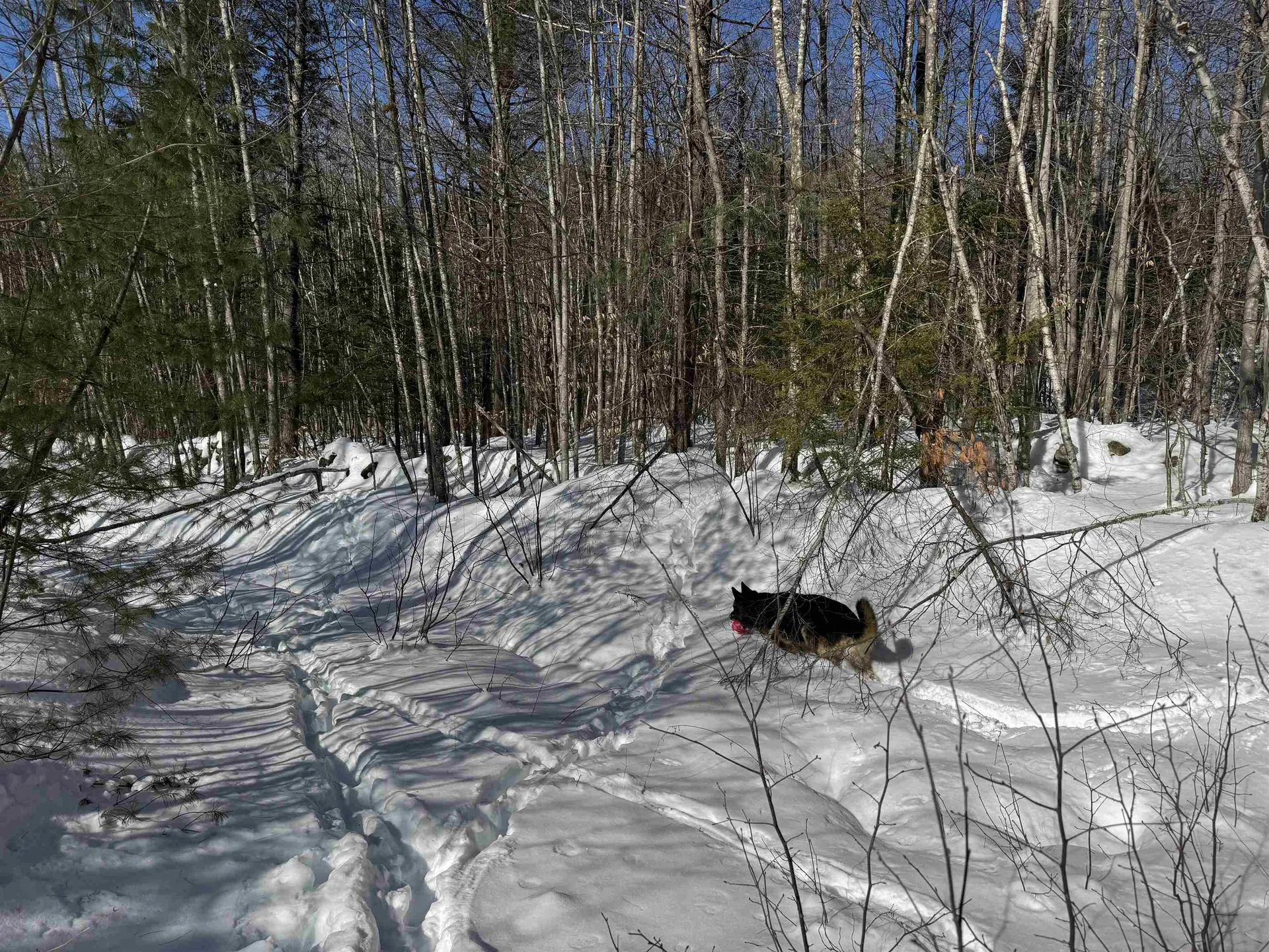 0 White Mountain Highway Wakefield NH 03872