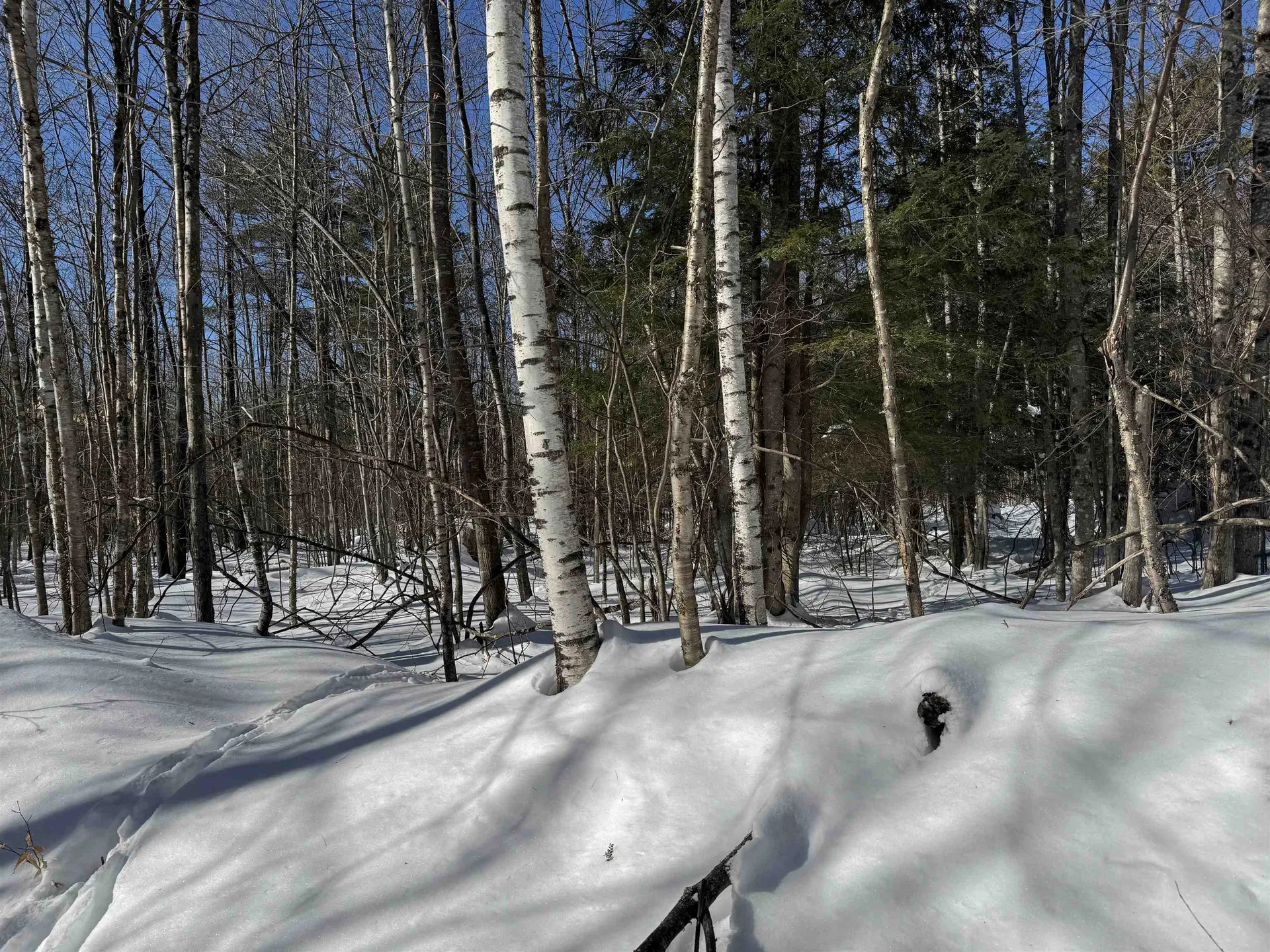 0 White Mountain Highway Wakefield NH 03872