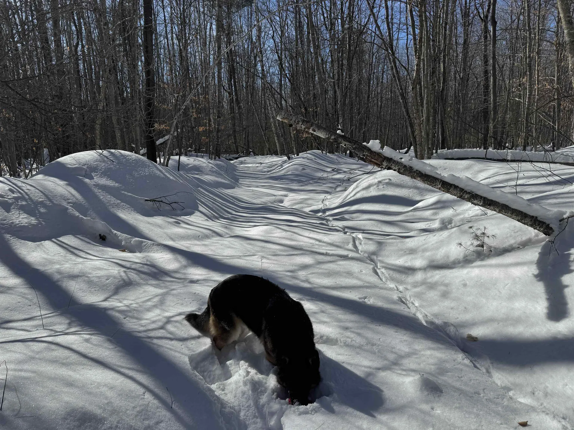 0 White Mountain Highway Wakefield NH 03872
