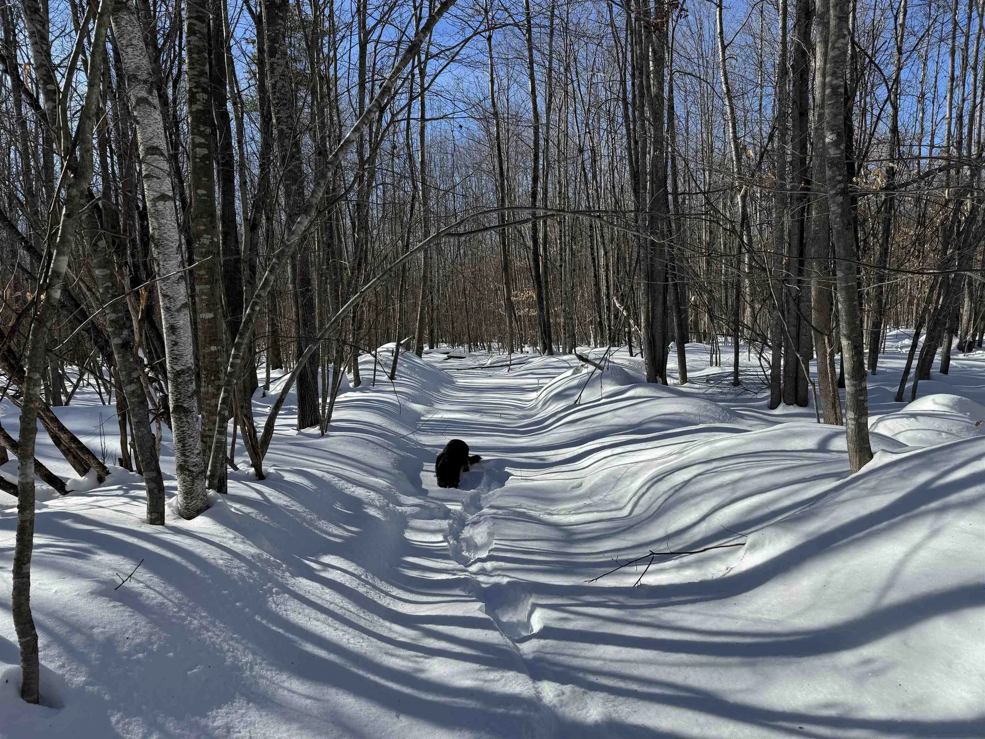 0 White Mountain Highway Wakefield NH 03872